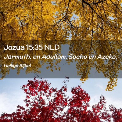 Picture 02 - Jozua 15:35 NLD - Jarmuth, en Adullam, Socho en - Bible Verse Picture