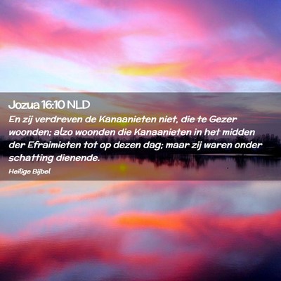 Picture 02 - Jozua 16:10 NLD - En zij verdreven de Kanaanieten niet, die te - Bible Verse Picture