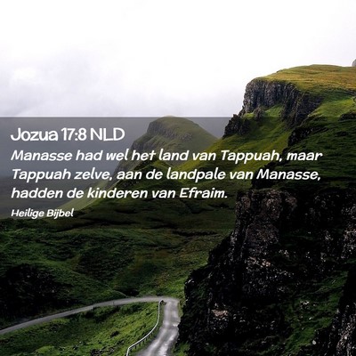 Picture 02 - Jozua 17:8 NLD - Manasse had wel het land van Tappuah, maar - Bible Verse Picture