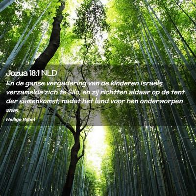 Picture 02 - Jozua 18:1 NLD - En de ganse vergadering van de kinderen Israels - Bible Verse Picture