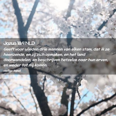 Picture 02 - Jozua 18:4 NLD - Geeft voor ulieden drie mannen van elken stam, - Bible Verse Picture