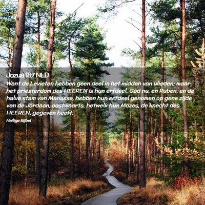 Picture 02 - Jozua 18:7 NLD - Want de Levieten hebben geen deel in het midden - Bible Verse Picture