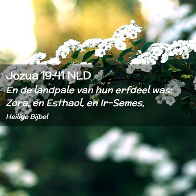 Picture 02 - Jozua 19:41 NLD - En de landpale van hun erfdeel was: Zora, en - Bible Verse Picture