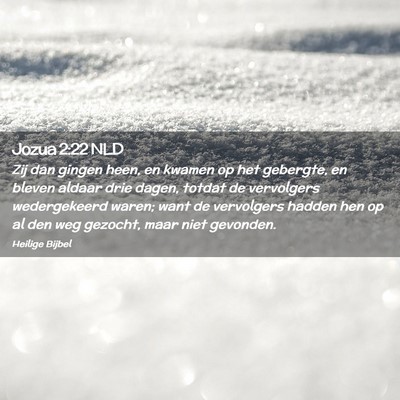 Picture 02 - Jozua 2:22 NLD - Zij dan gingen heen, en kwamen op het gebergte, - Bible Verse Picture