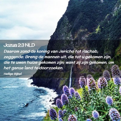 Picture 02 - Jozua 2:3 NLD - Daarom zond de koning van Jericho tot Rachab, - Bible Verse Picture