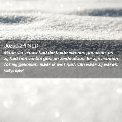 Picture 02 - Jozua 2:4 NLD - Maar die vrouw had die beide mannen genomen, en - Bible Verse Picture