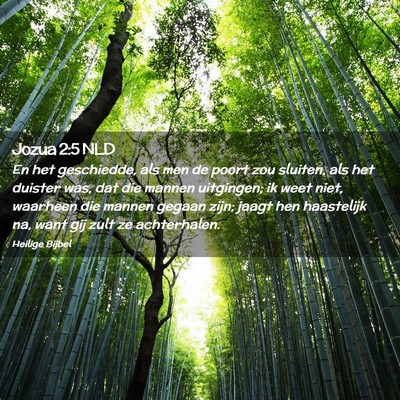 Picture 02 - Jozua 2:5 NLD - En het geschiedde, als men de poort zou sluiten, - Bible Verse Picture