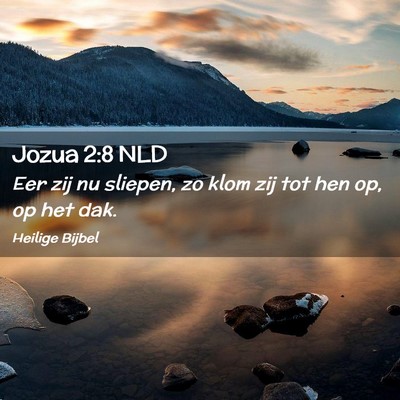 Picture 02 - Jozua 2:8 NLD - Eer zij nu sliepen, zo klom zij tot hen op, op - Bible Verse Picture