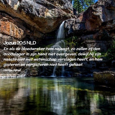 Picture 02 - Jozua 20:5 NLD - En als de bloedwreker hem najaagt, zo zullen zij - Bible Verse Picture
