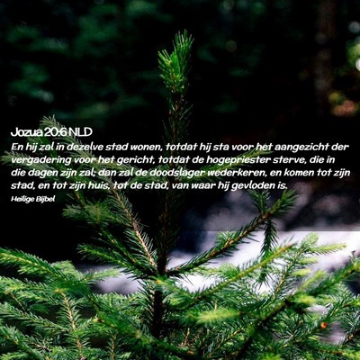 Picture 02 - Jozua 20:6 NLD - En hij zal in dezelve stad wonen, totdat hij sta - Bible Verse Picture