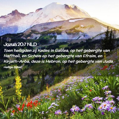 Picture 02 - Jozua 20:7 NLD - Toen heiligden zij Kedes in Galilea, op het - Bible Verse Picture