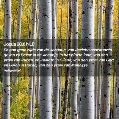 Picture 02 - Jozua 20:8 NLD - En aan gene zijde van de Jordaan, van Jericho - Bible Verse Picture