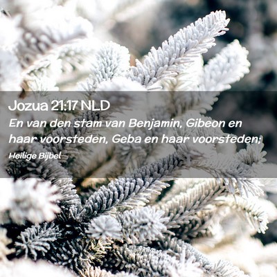 Picture 02 - Jozua 21:17 NLD - En van den stam van Benjamin, Gibeon en haar - Bible Verse Picture