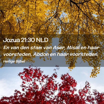 Picture 02 - Jozua 21:30 NLD - En van den stam van Aser, Misal en haar - Bible Verse Picture