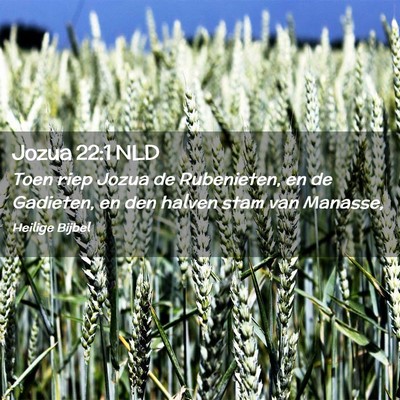 Picture 02 - Jozua 22:1 NLD - Toen riep Jozua de Rubenieten, en de Gadieten, en - Bible Verse Picture