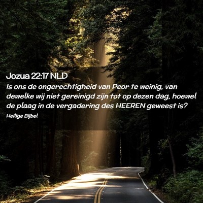 Picture 02 - Jozua 22:17 NLD - Is ons de ongerechtigheid van Peor te weinig, van - Bible Verse Picture