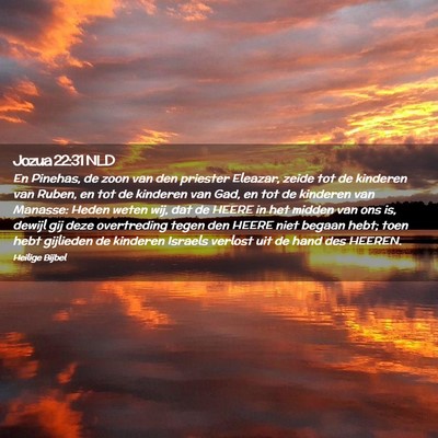 Picture 02 - Jozua 22:31 NLD - En Pinehas, de zoon van den priester Eleazar, - Bible Verse Picture