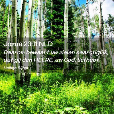 Picture 02 - Jozua 23:11 NLD - Daarom bewaart uw zielen naarstiglijk, dat gij - Bible Verse Picture