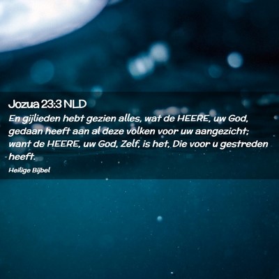 Picture 02 - Jozua 23:3 NLD - En gijlieden hebt gezien alles, wat de HEERE, uw - Bible Verse Picture