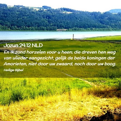Picture 02 - Jozua 24:12 NLD - En Ik zond horzelen voor u heen; die dreven hen - Bible Verse Picture
