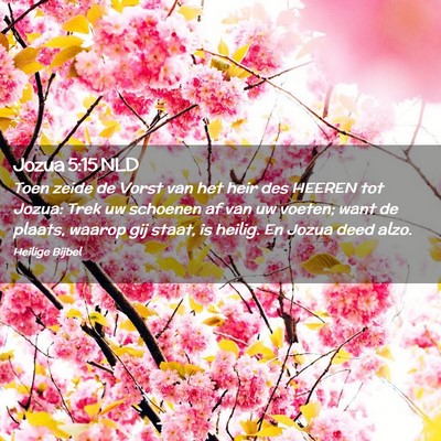 Picture 02 - Jozua 5:15 NLD - Toen zeide de Vorst van het heir des HEEREN tot - Bible Verse Picture