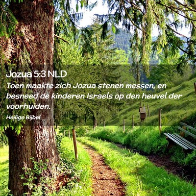 Picture 02 - Jozua 5:3 NLD - Toen maakte zich Jozua stenen messen, en besneed - Bible Verse Picture