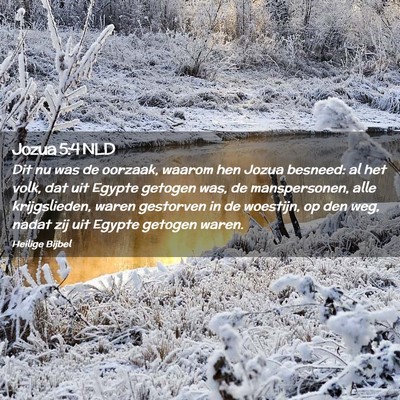 Picture 02 - Jozua 5:4 NLD - Dit nu was de oorzaak, waarom hen Jozua besneed: - Bible Verse Picture