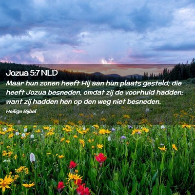 Picture 02 - Jozua 5:7 NLD - Maar hun zonen heeft Hij aan hun plaats gesteld; - Bible Verse Picture
