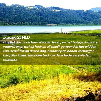 Picture 02 - Jozua 6:25 NLD - Dus liet Jozua de hoer Rachab leven, en het - Bible Verse Picture