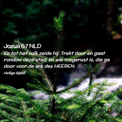 Picture 02 - Jozua 6:7 NLD - En tot het volk zeide hij: Trekt door en gaat - Bible Verse Picture