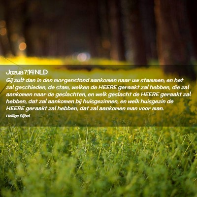 Picture 02 - Jozua 7:14 NLD - Gij zult dan in den morgenstond aankomen naar uw - Bible Verse Picture