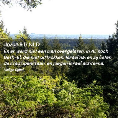 Picture 02 - Jozua 8:17 NLD - En er werd niet een man overgelaten, in Ai, noch - Bible Verse Picture