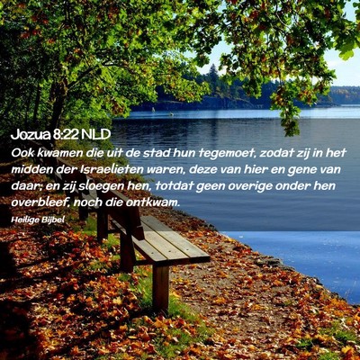 Picture 02 - Jozua 8:22 NLD - Ook kwamen die uit de stad hun tegemoet, zodat - Bible Verse Picture