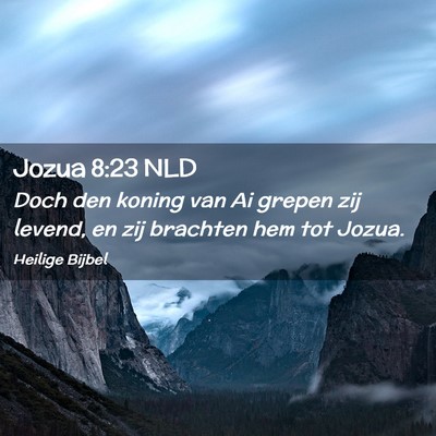 Picture 02 - Jozua 8:23 NLD - Doch den koning van Ai grepen zij levend, en zij - Bible Verse Picture