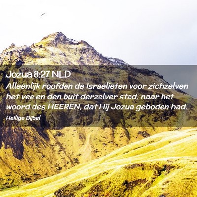 Picture 02 - Jozua 8:27 NLD - Alleenlijk roofden de Israelieten voor zichzelven - Bible Verse Picture