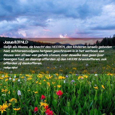 Picture 02 - Jozua 8:31 NLD - Gelijk als Mozes, de knecht des HEEREN, den - Bible Verse Picture