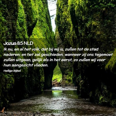 Picture 02 - Jozua 8:5 NLD - Ik nu, en al het volk, dat bij mij is, zullen tot - Bible Verse Picture