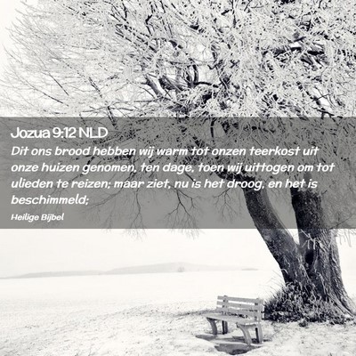Picture 02 - Jozua 9:12 NLD - Dit ons brood hebben wij warm tot onzen teerkost - Bible Verse Picture