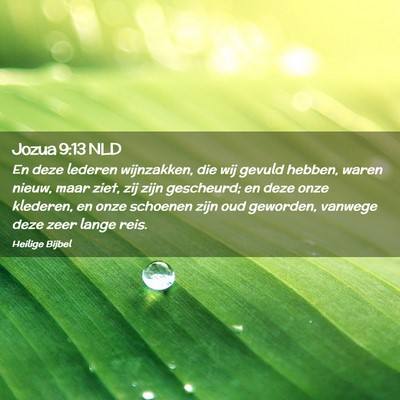 Picture 02 - Jozua 9:13 NLD - En deze lederen wijnzakken, die wij gevuld - Bible Verse Picture