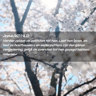 Picture 02 - Jozua 9:21 NLD - Verder zeiden de oversten tot hen: Laat hen - Bible Verse Picture