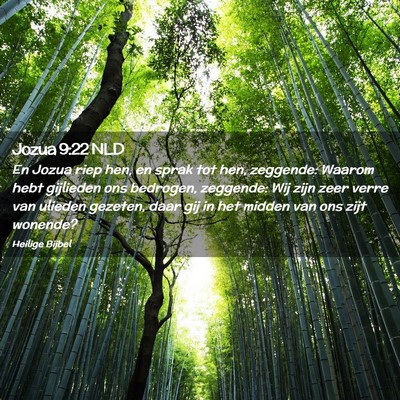 Picture 02 - Jozua 9:22 NLD - En Jozua riep hen, en sprak tot hen, zeggende: - Bible Verse Picture