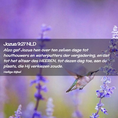 Picture 02 - Jozua 9:27 NLD - Alzo gaf Jozua hen over ten zelven dage tot - Bible Verse Picture