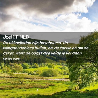 Picture 02 - Joël 1:11 NLD - De akkerlieden zijn beschaamd, de wijngaardeniers - Bible Verse Picture