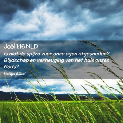 Picture 02 - Joël 1:16 NLD - Is niet de spijze voor onze ogen afgesneden? - Bible Verse Picture