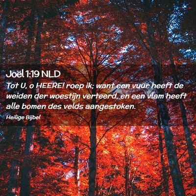 Picture 02 - Joël 1:19 NLD - Tot U, o HEERE! roep ik; want een vuur heeft de - Bible Verse Picture