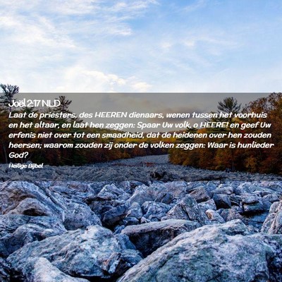Picture 02 - Joël 2:17 NLD - Laat de priesters, des HEEREN dienaars, wenen - Bible Verse Picture