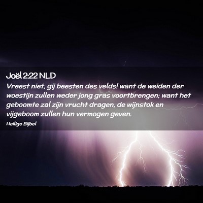Picture 02 - Joël 2:22 NLD - Vreest niet, gij beesten des velds! want de - Bible Verse Picture