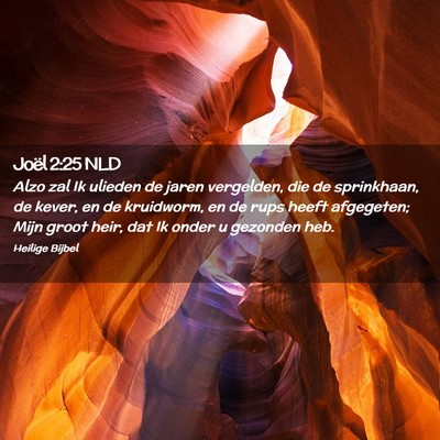 Picture 02 - Joël 2:25 NLD - Alzo zal Ik ulieden de jaren vergelden, die de - Bible Verse Picture