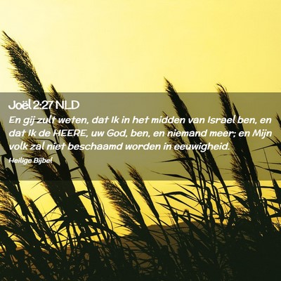 Picture 02 - Joël 2:27 NLD - En gij zult weten, dat Ik in het midden van - Bible Verse Picture