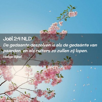Picture 02 - Joël 2:4 NLD - De gedaante deszelven is als de gedaante van - Bible Verse Picture